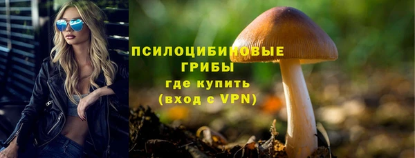 стаф Абаза