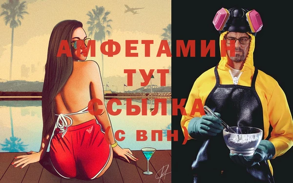 стаф Абаза