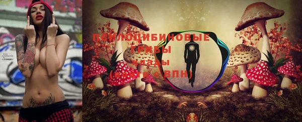 стаф Абаза