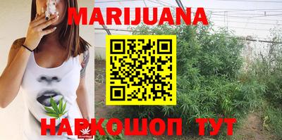 PSILOCYBIN Кунгур