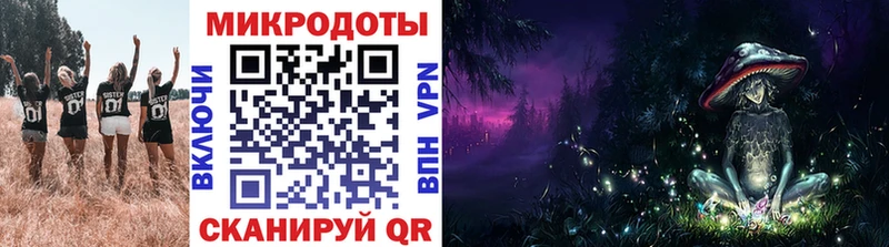 Галлюциногенные грибы Cubensis  купить наркоту  Каменка 