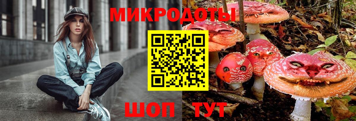 Галлюциногенные грибы Psilocybe  Псилоцибиновые грибы ЛСД  Каменка  Вход с VPN 