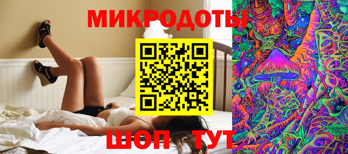 Галлюциногенные грибы Cubensis Каменка