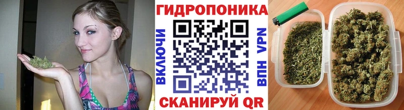 Шишки марихуана индика  Каменка 